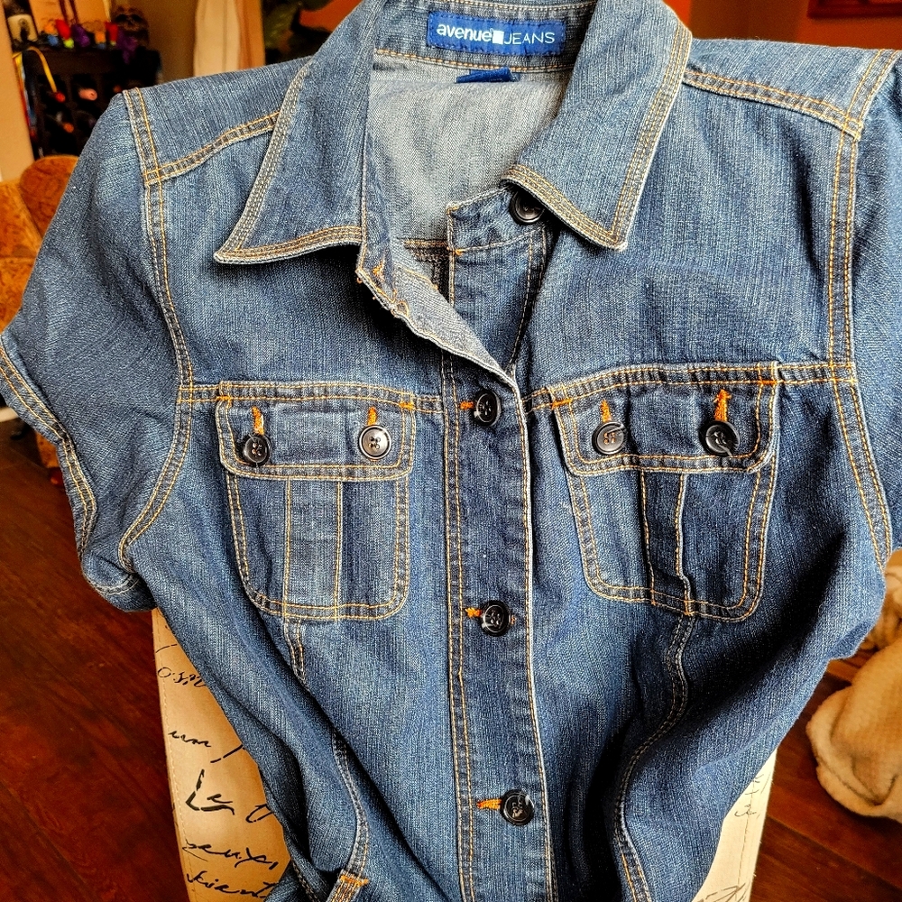 Denim Button Up Dress